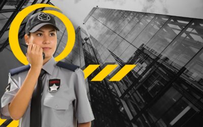 3 Servicios Clave que tu Empresa necesita (y quizá no sabías que ofrecemos)